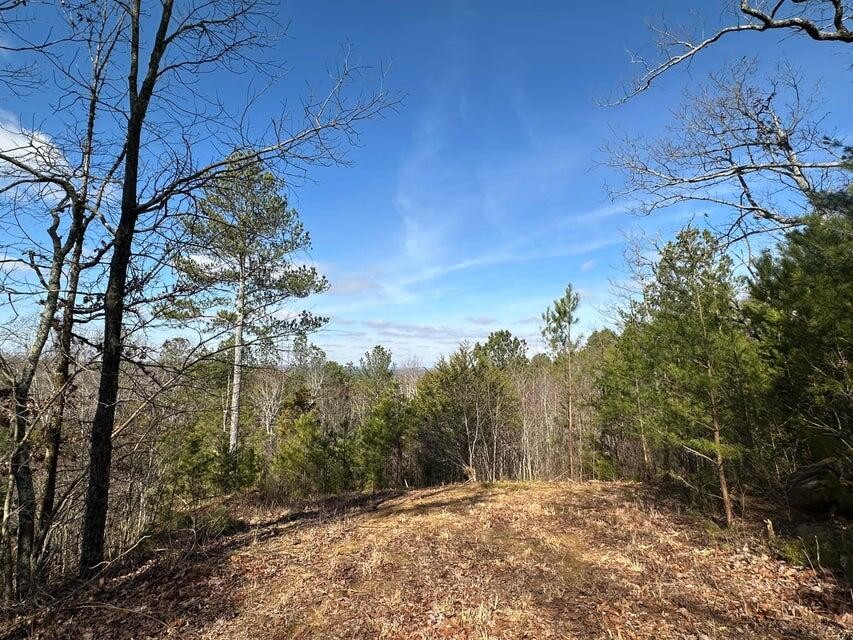125 Fox Trail Drive Property Photo 1