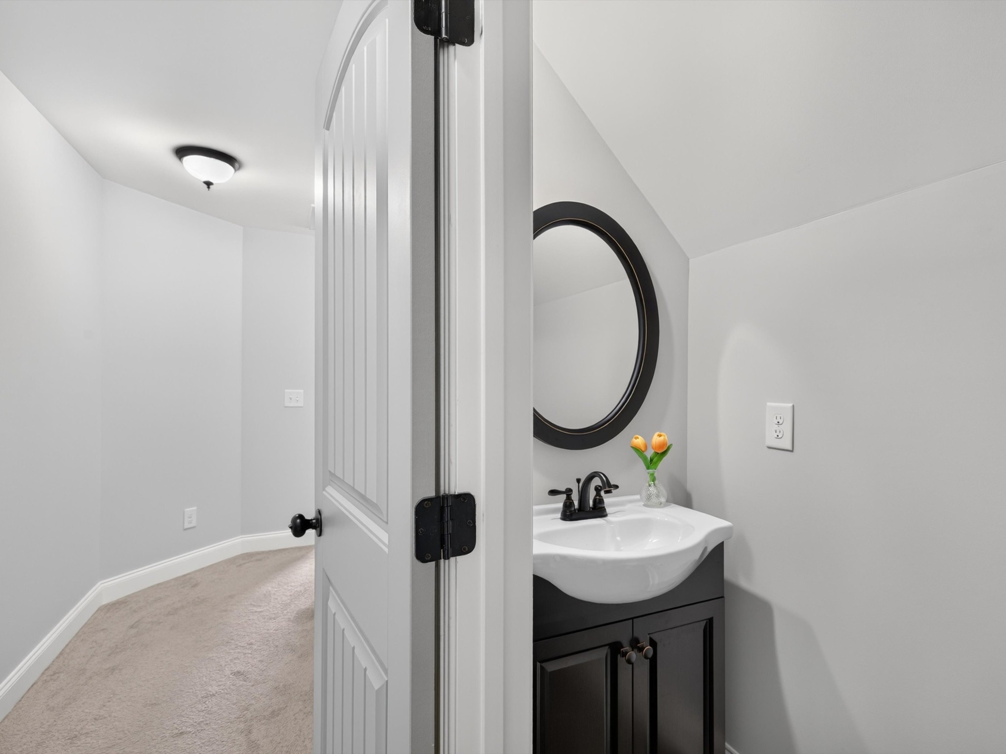 3040 Dogwood Trl Property Photo 49