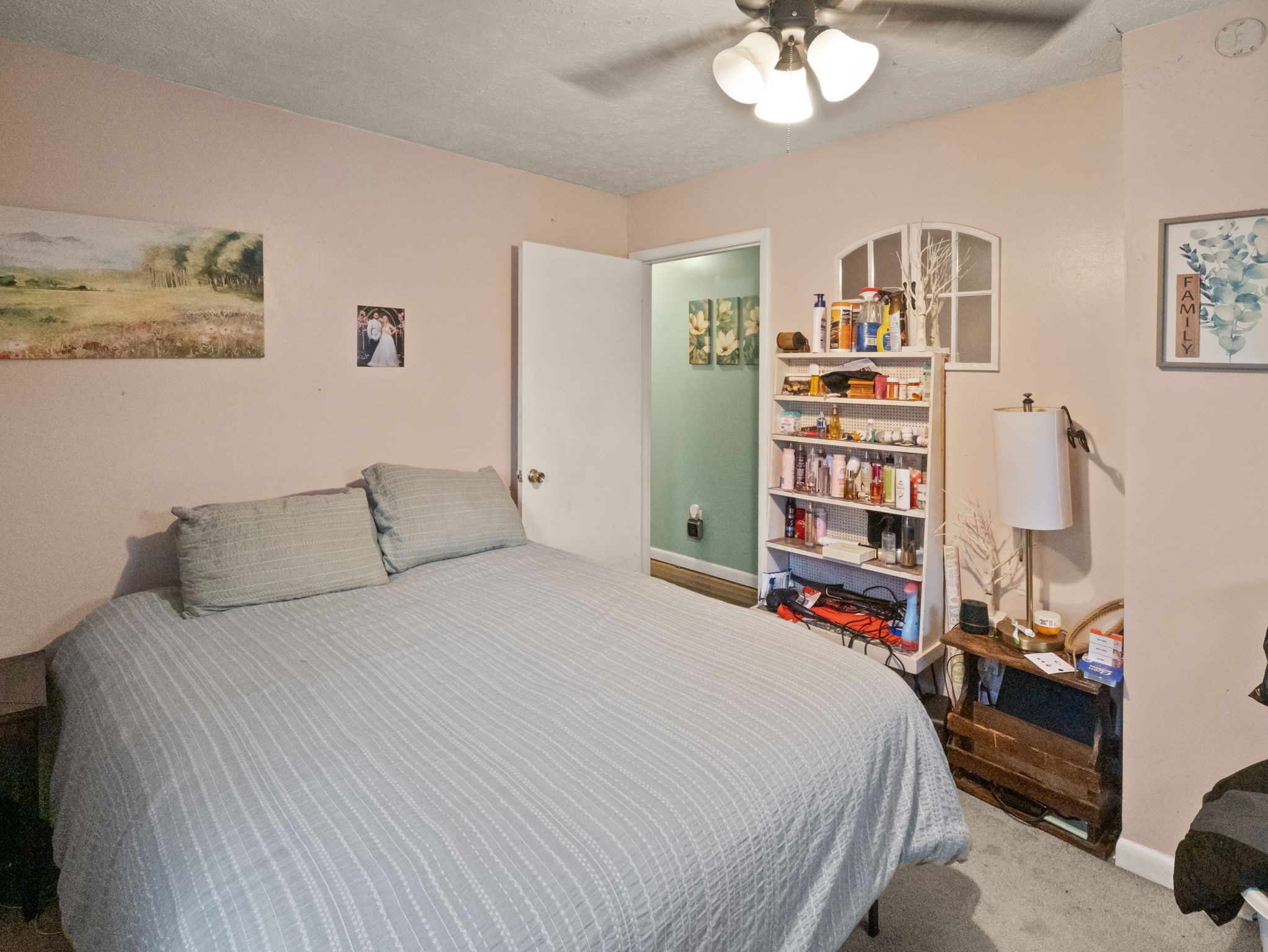 509 Countryside Loop Property Photo 18