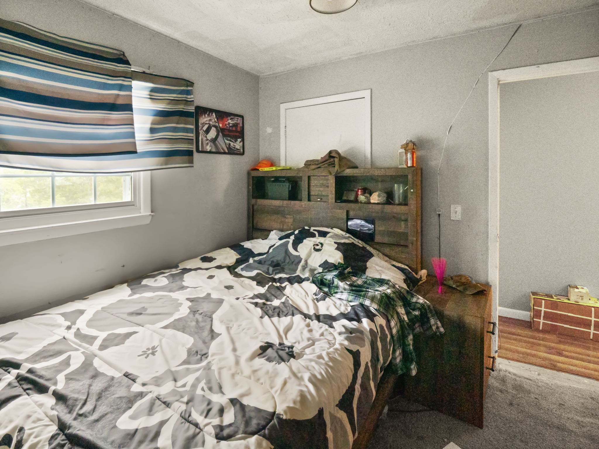 509 Countryside Loop Property Photo 23