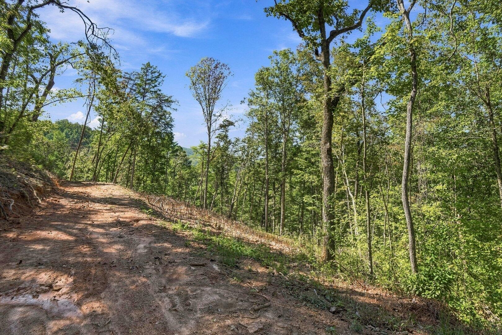 0 Dell Moore Road Property Photo 8