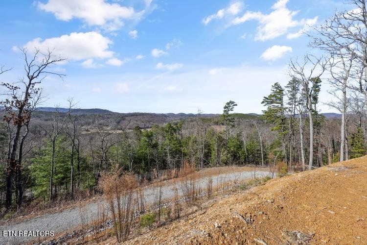 117 Indian Ridge Drive Property Photo 7