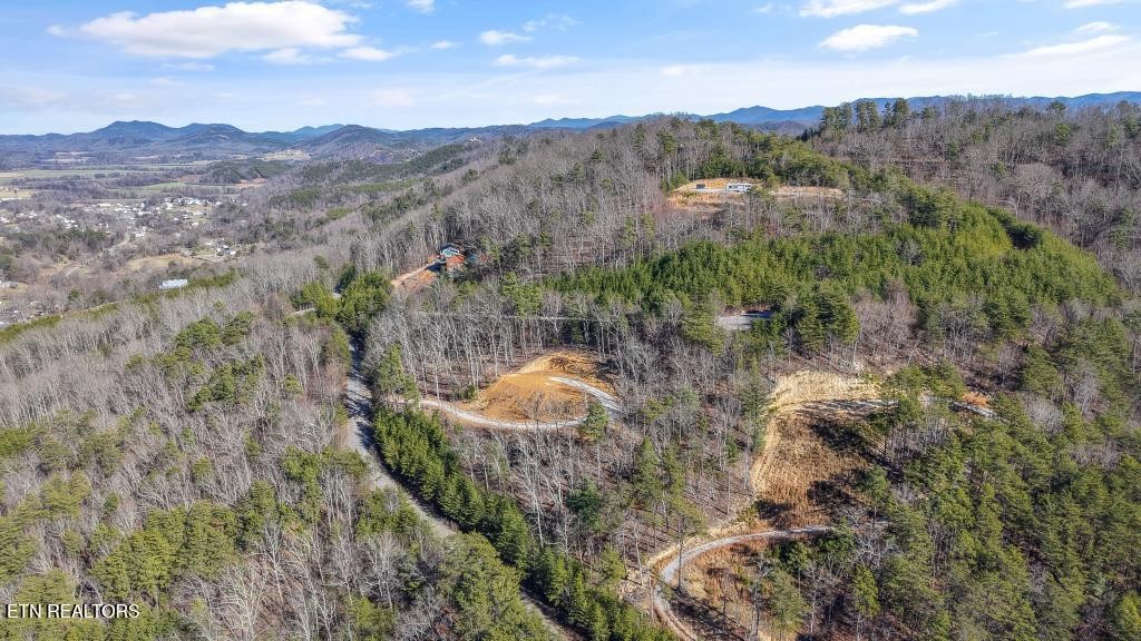 117 Indian Ridge Drive Property Photo 8
