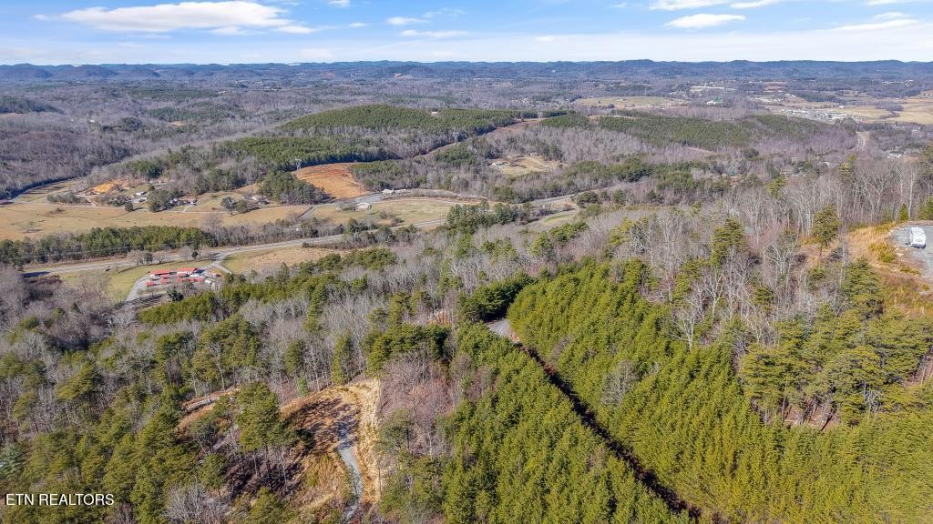 117 Indian Ridge Drive Property Photo 10