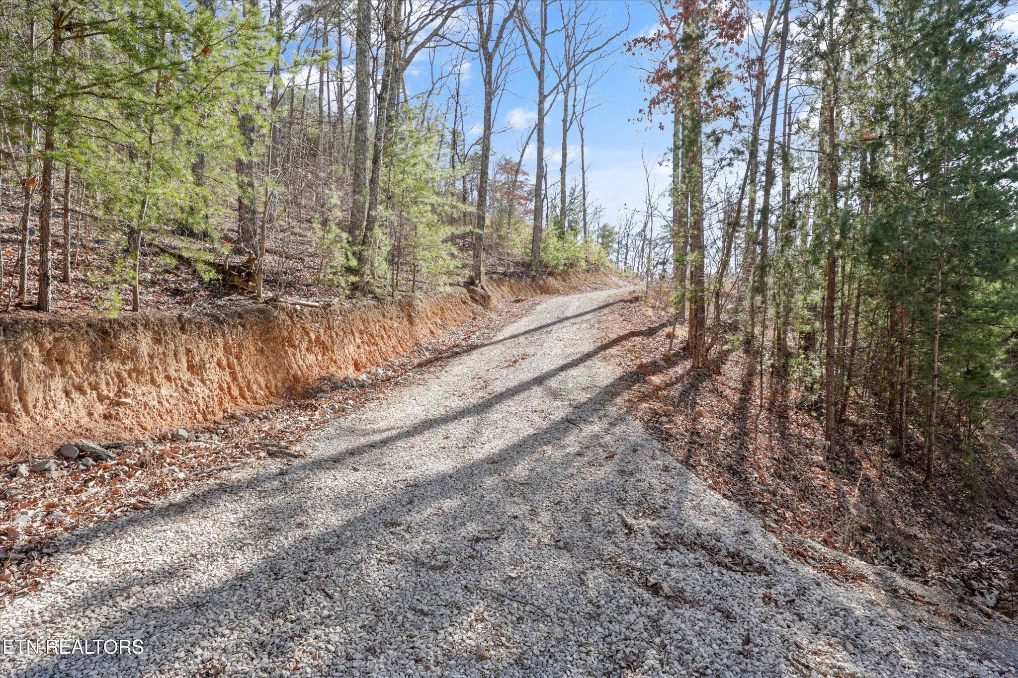 117 Indian Ridge Drive Property Photo 15