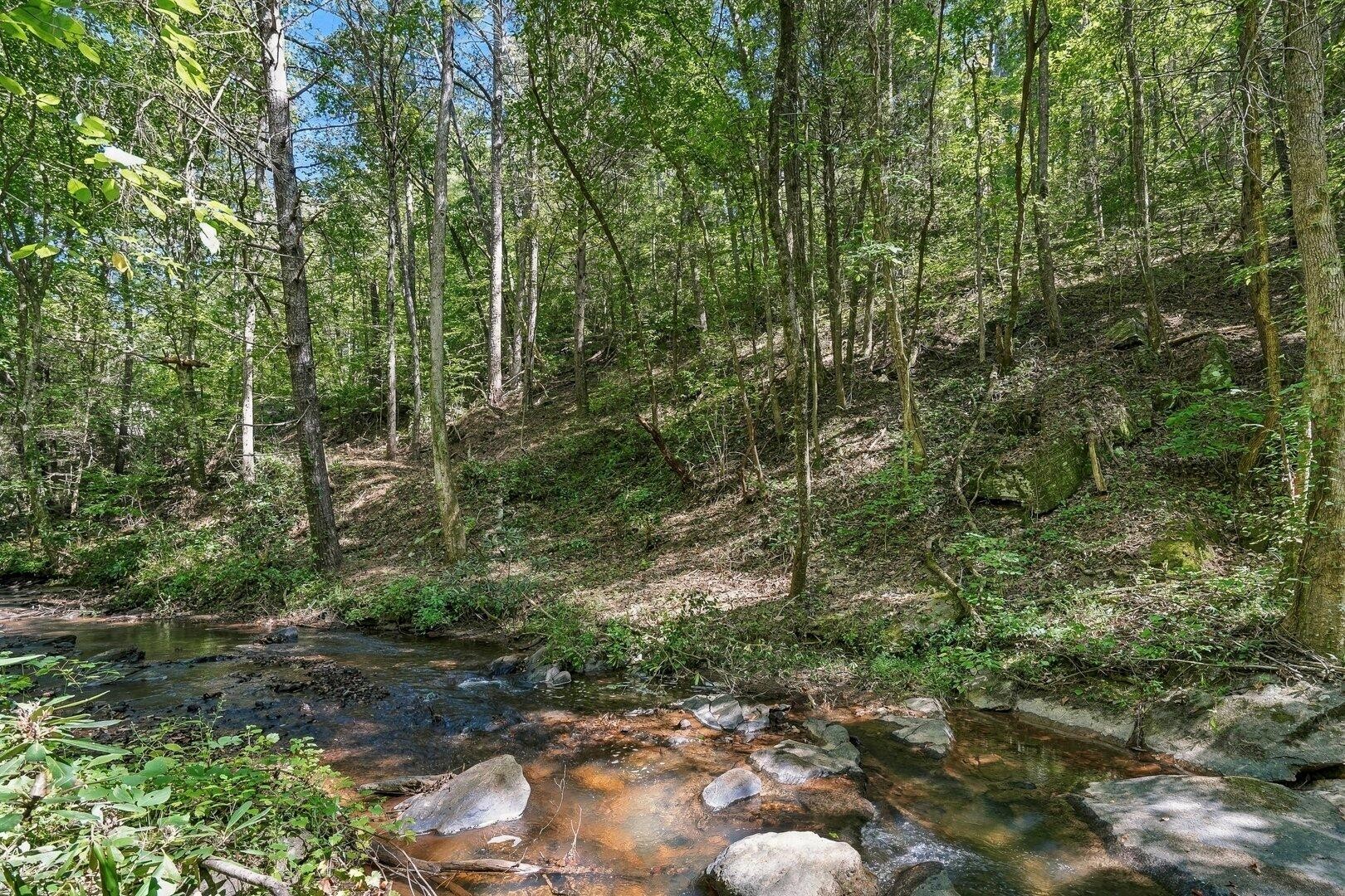 0 Dell Moore Road Property Photo 1
