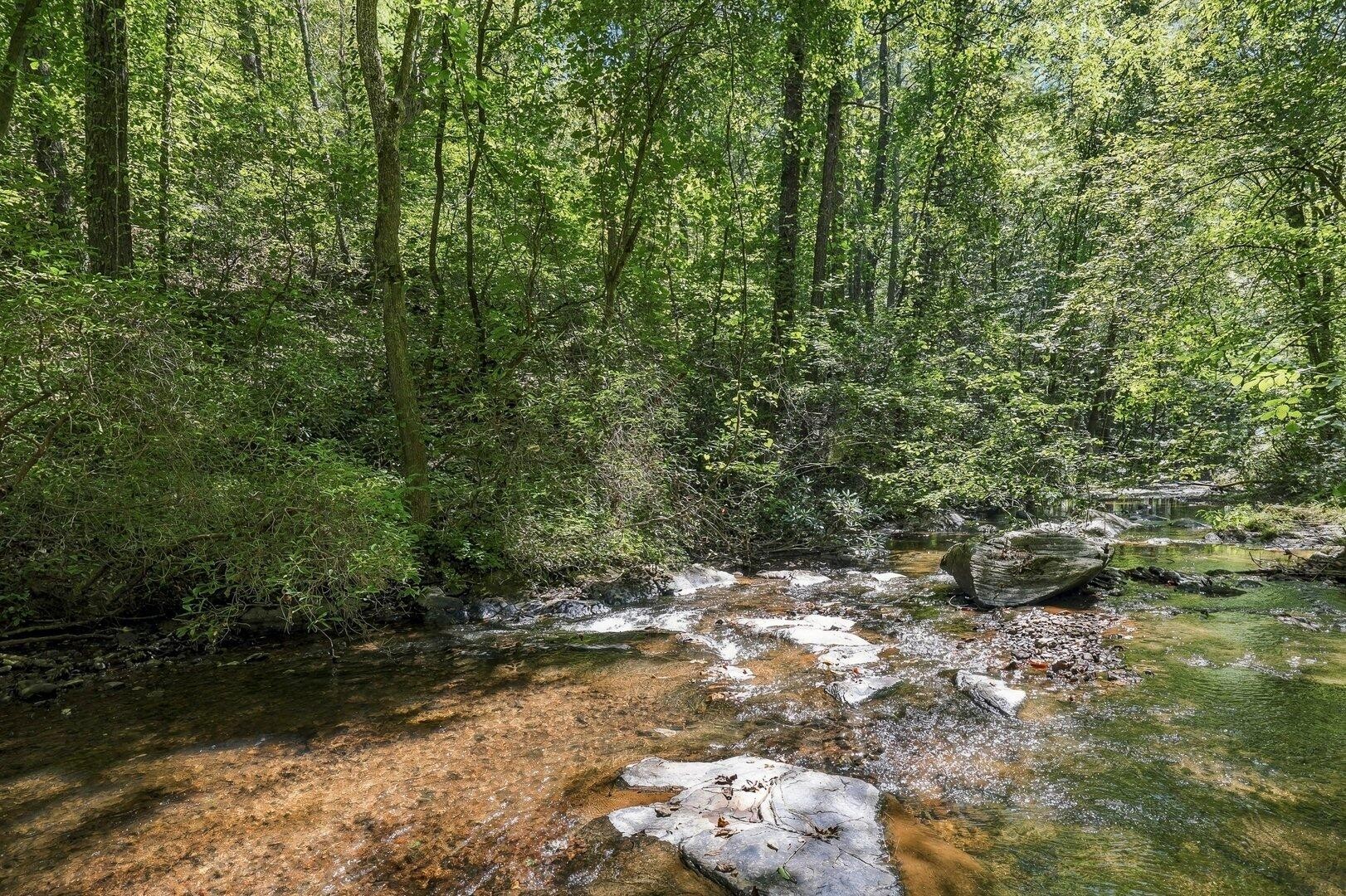 0 Dell Moore Road Property Photo 2