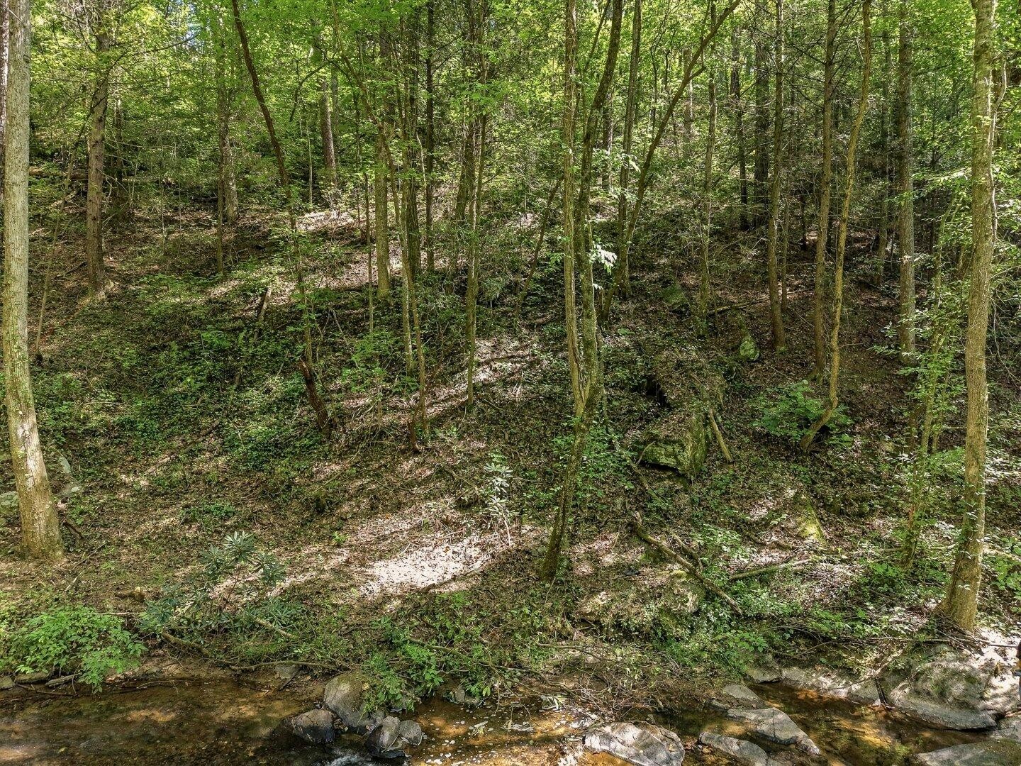 0 Dell Moore Road Property Photo 5