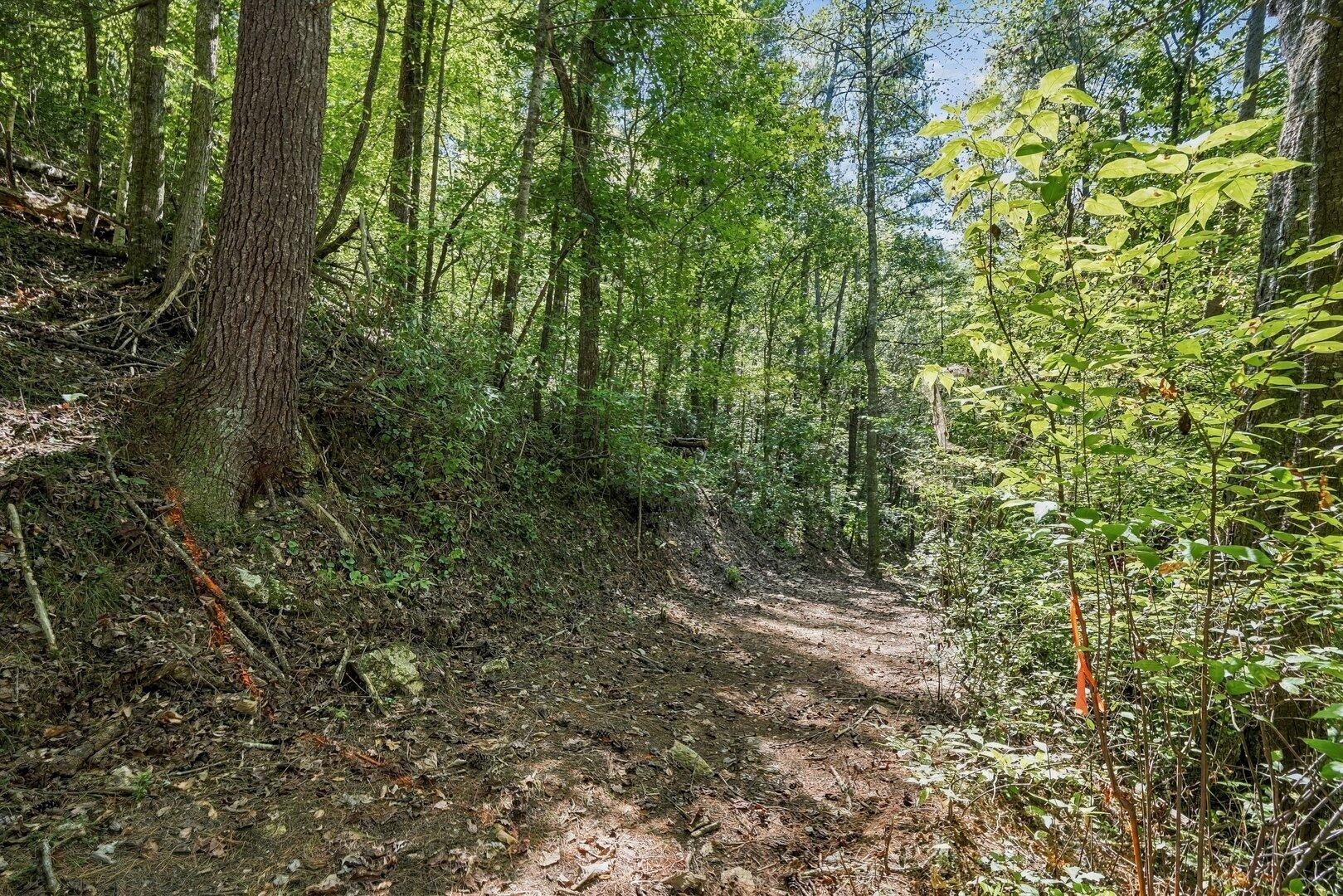 0 Dell Moore Road Property Photo 6