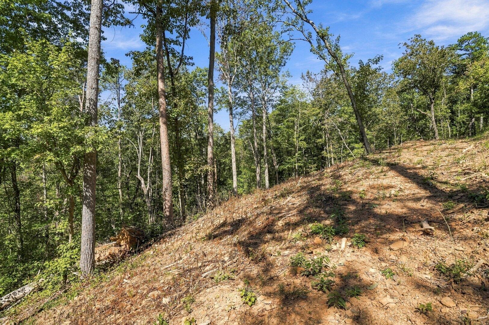 0 Dell Moore Road Property Photo 8