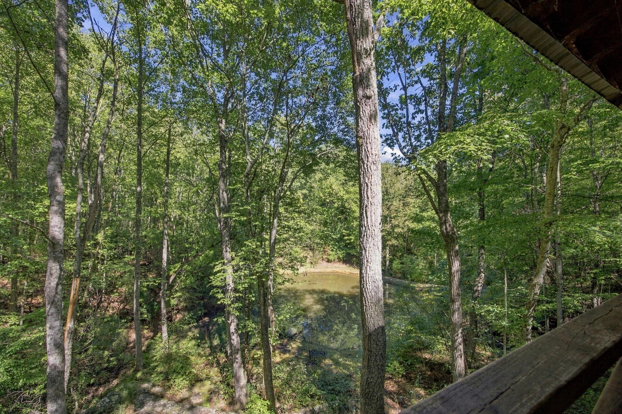 884 Ducks Nest Road Property Photo 23