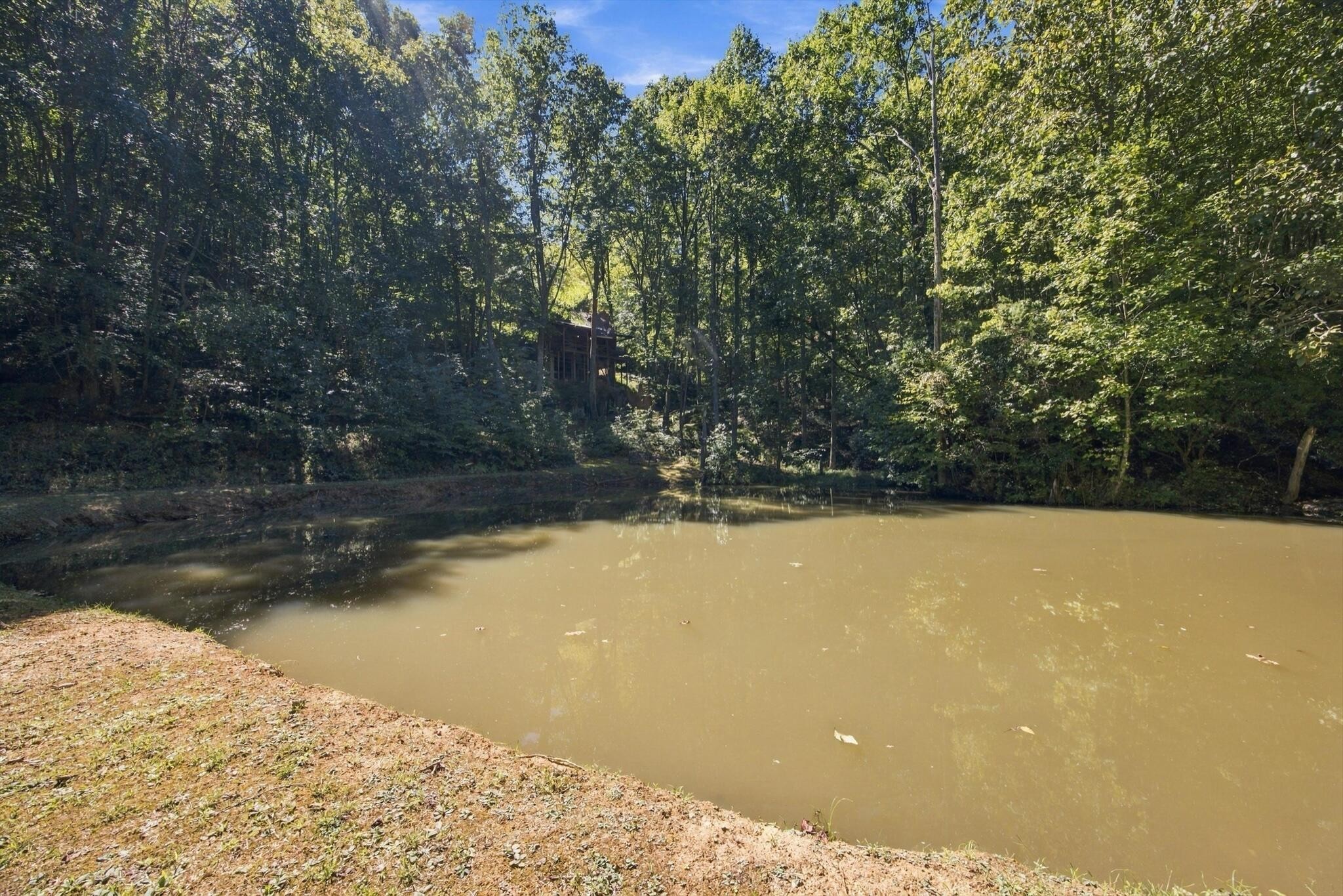 884 Ducks Nest Road Property Photo 25