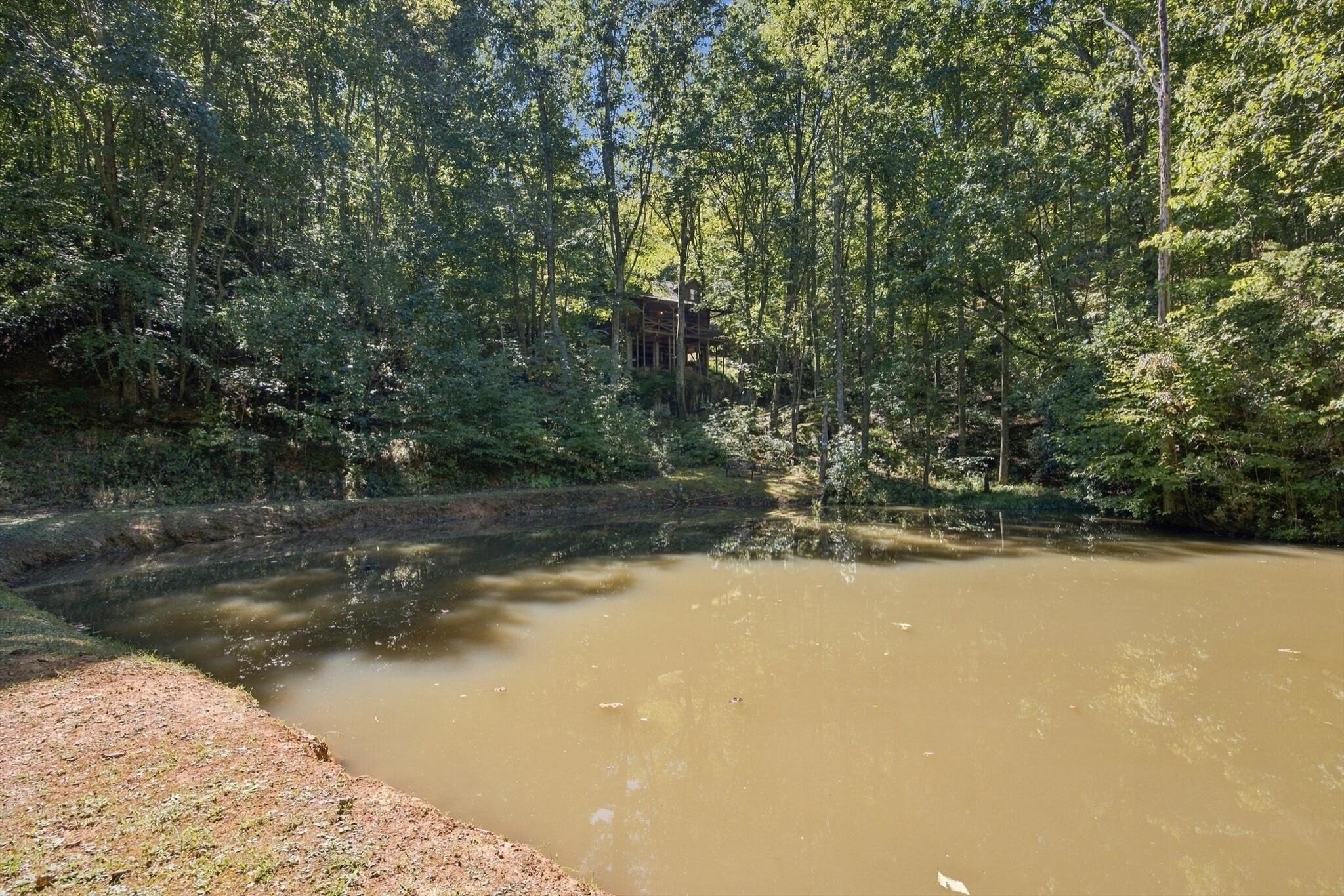 884 Ducks Nest Road Property Photo 26