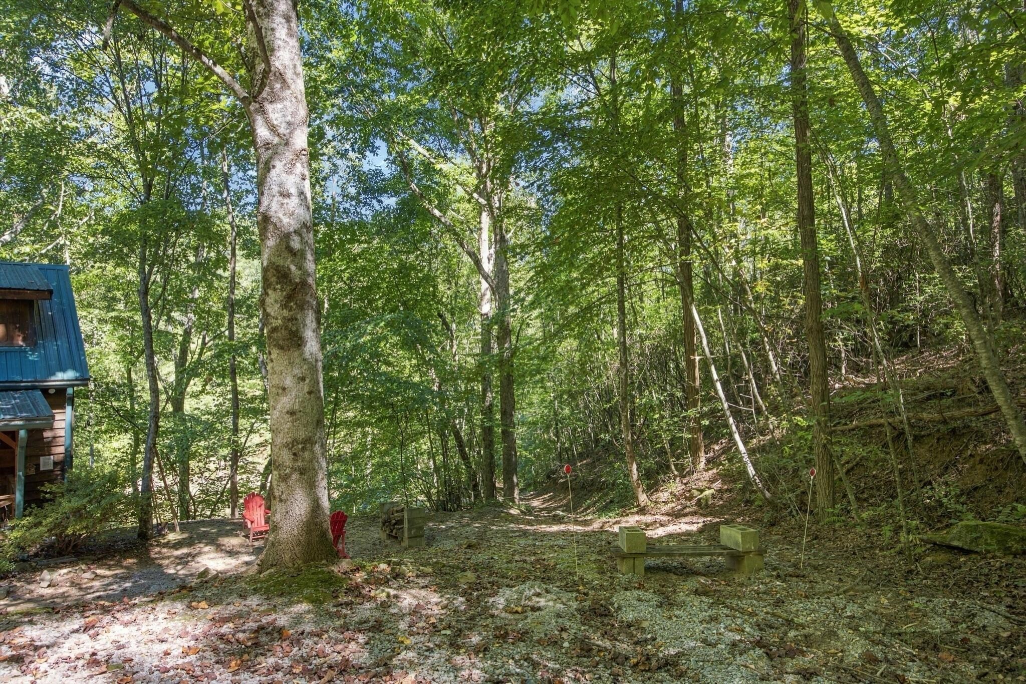 884 Ducks Nest Road Property Photo 28
