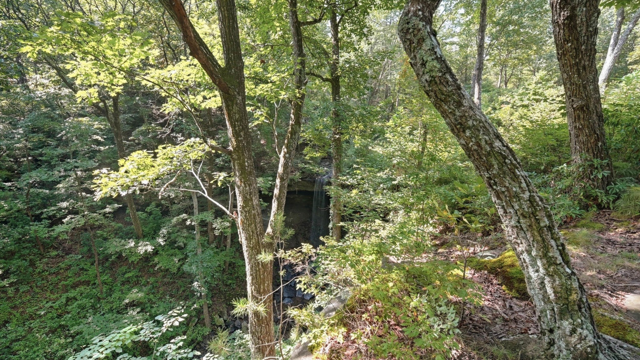 0 Timber View Road Property Photo 7