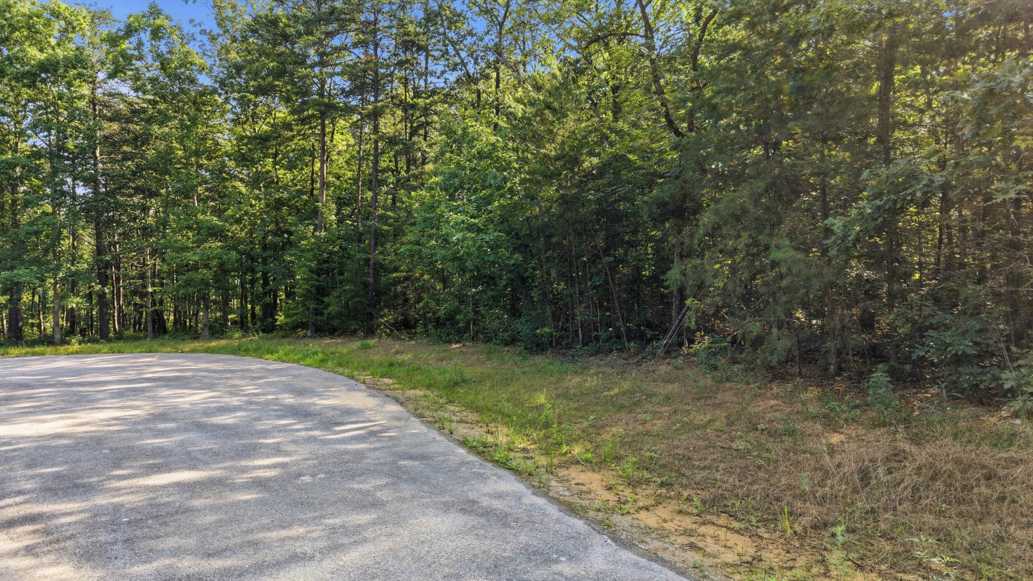 0 Timber View Road Property Photo 16