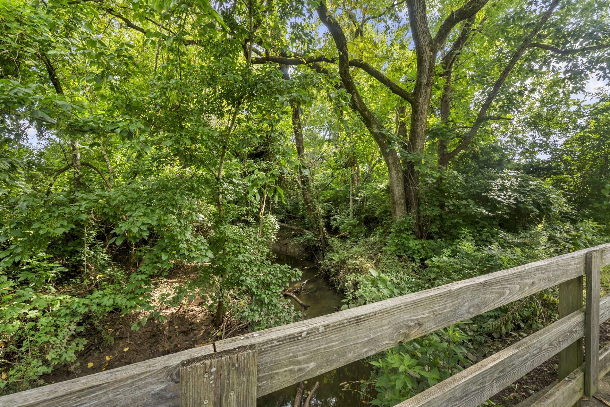 8205 Lenox Creekside Dr Property Photo 34