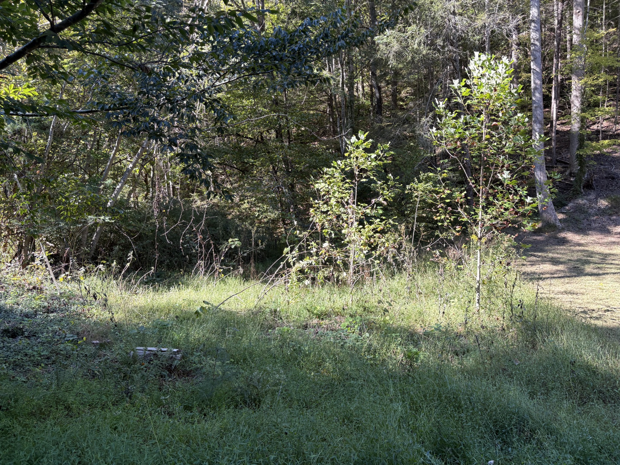 0 N Clearfork Rd Property Photo 5