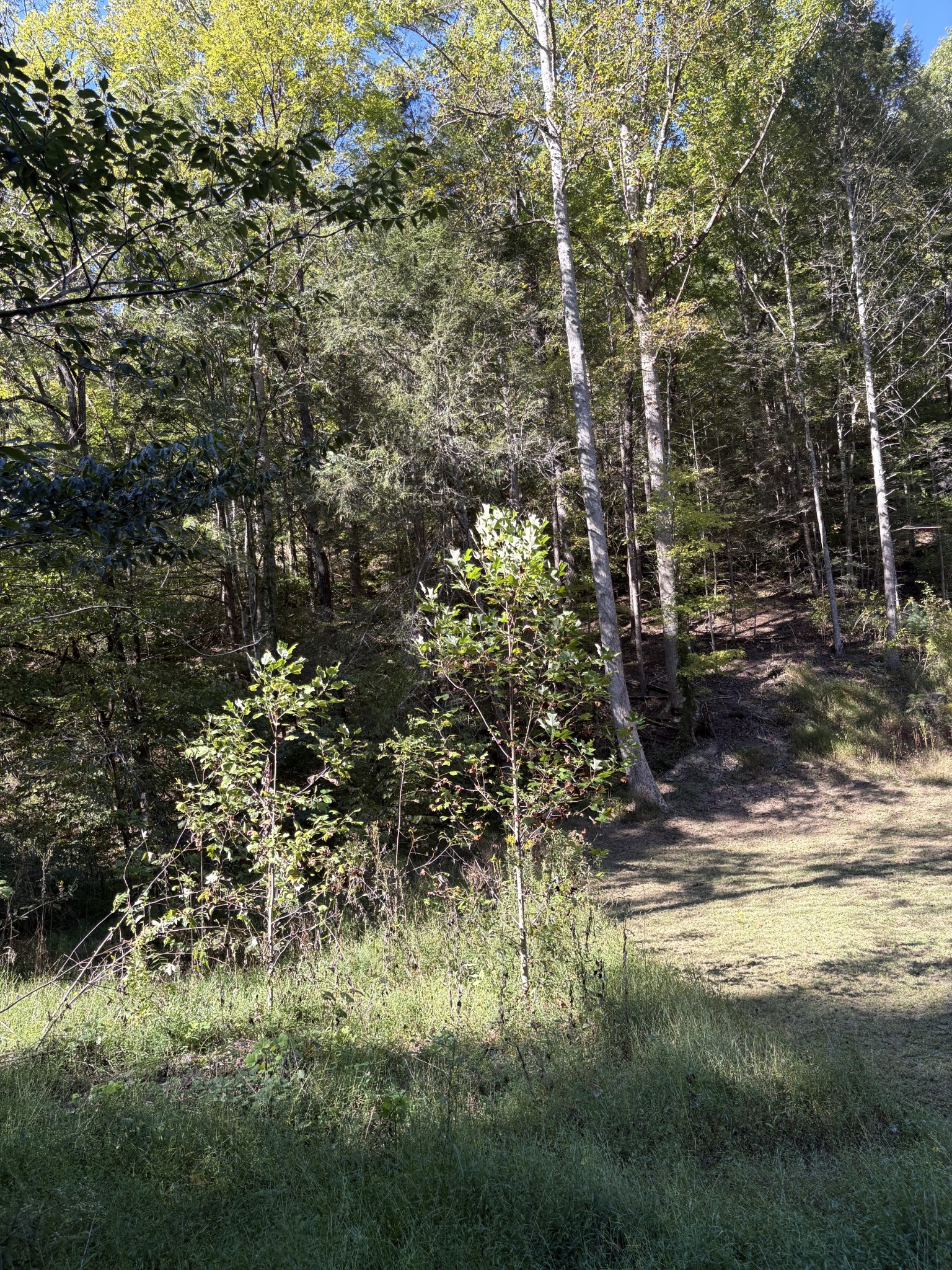 0 N Clearfork Rd Property Photo 8
