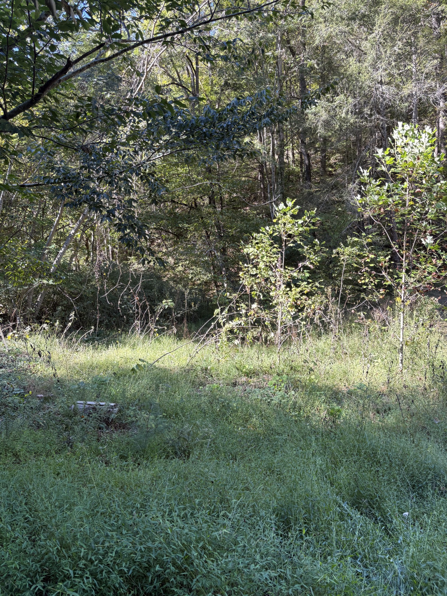 0 N Clearfork Rd Property Photo 10