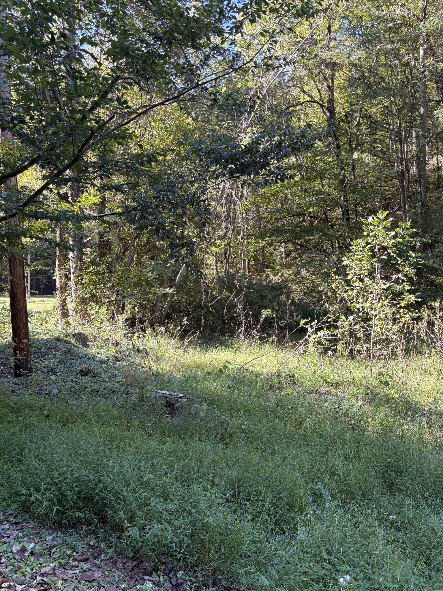 0 N Clearfork Rd Property Photo 11