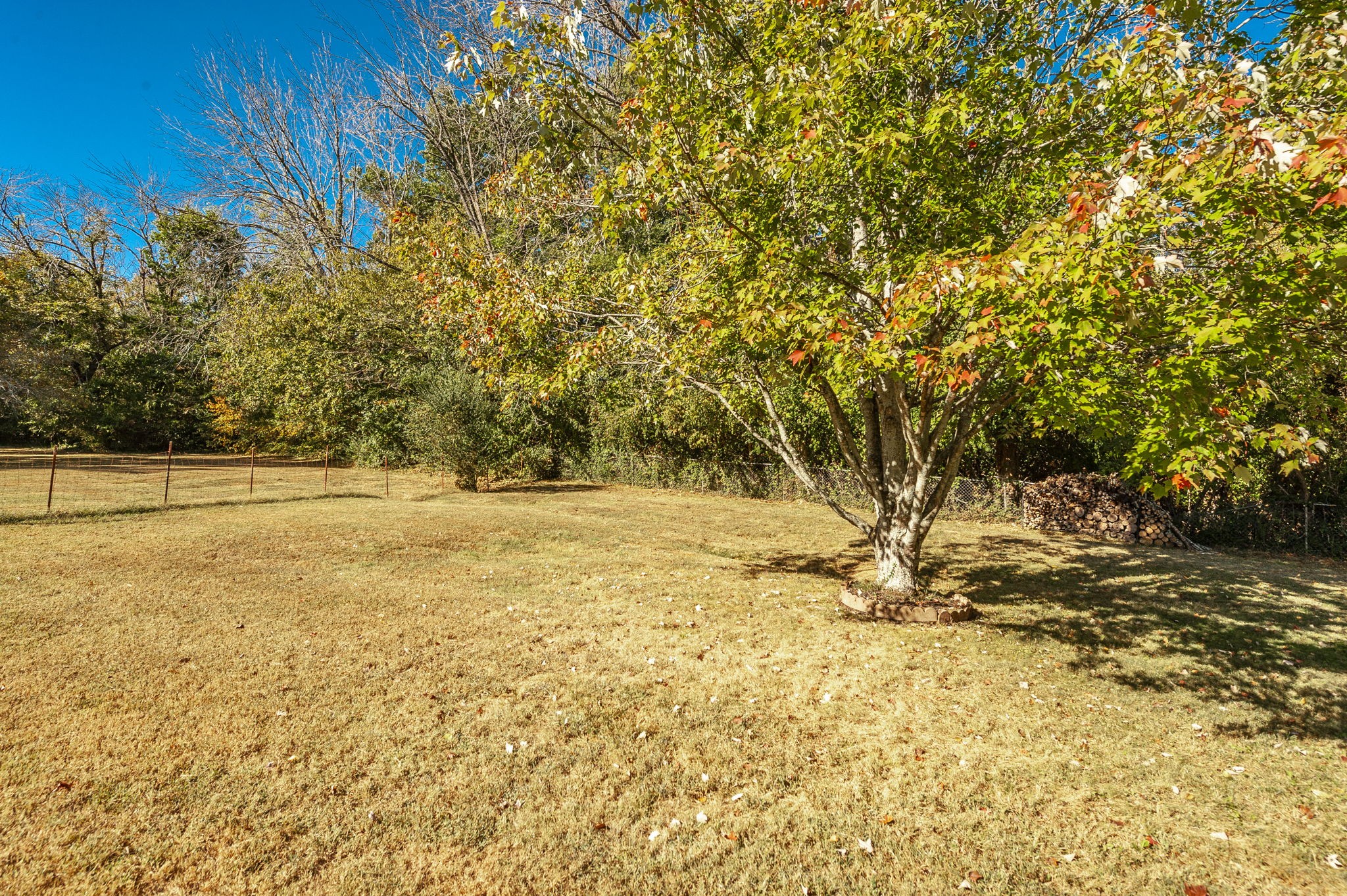212 Marlin Ct Property Photo 33