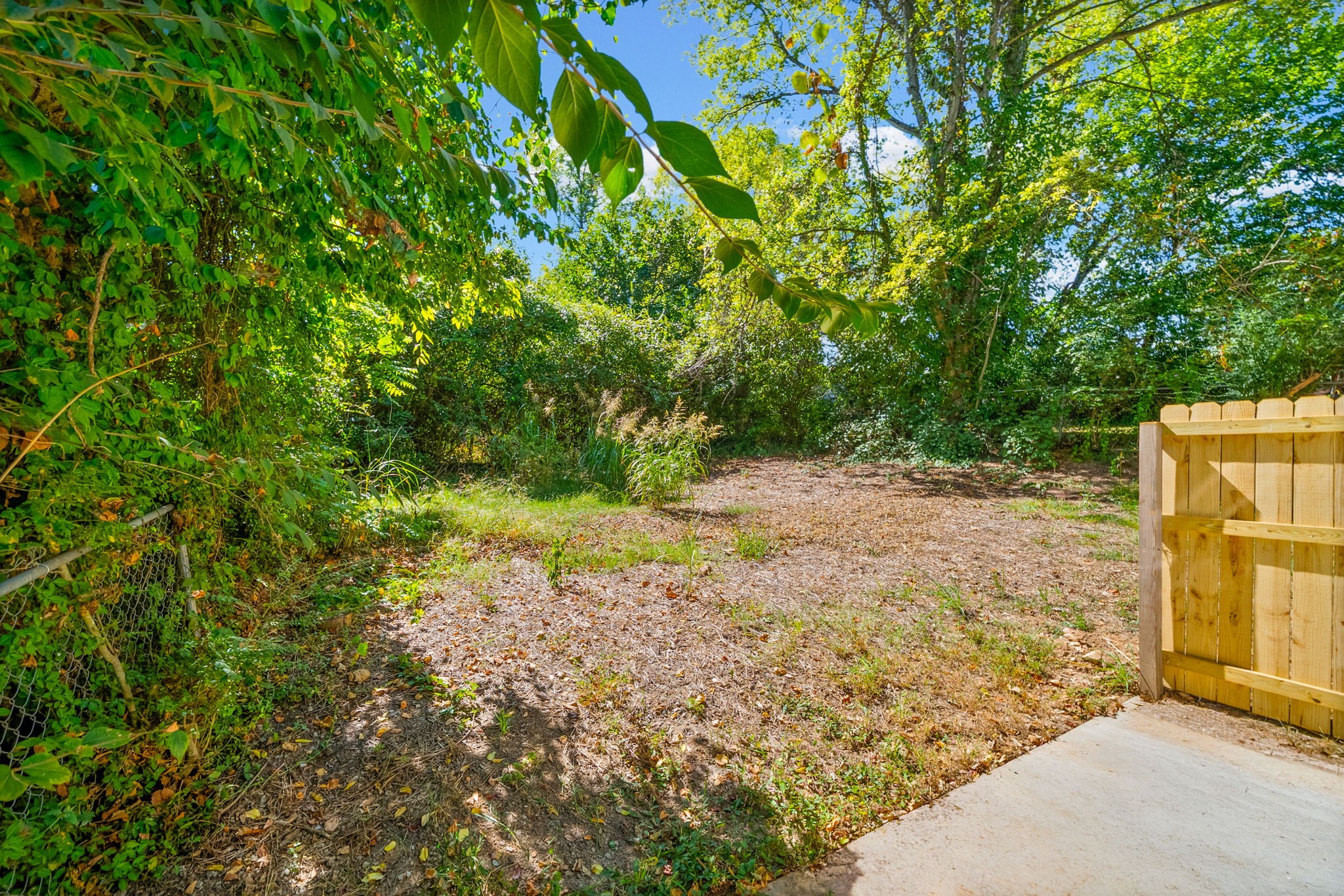 1210 Cedar St Property Photo 26