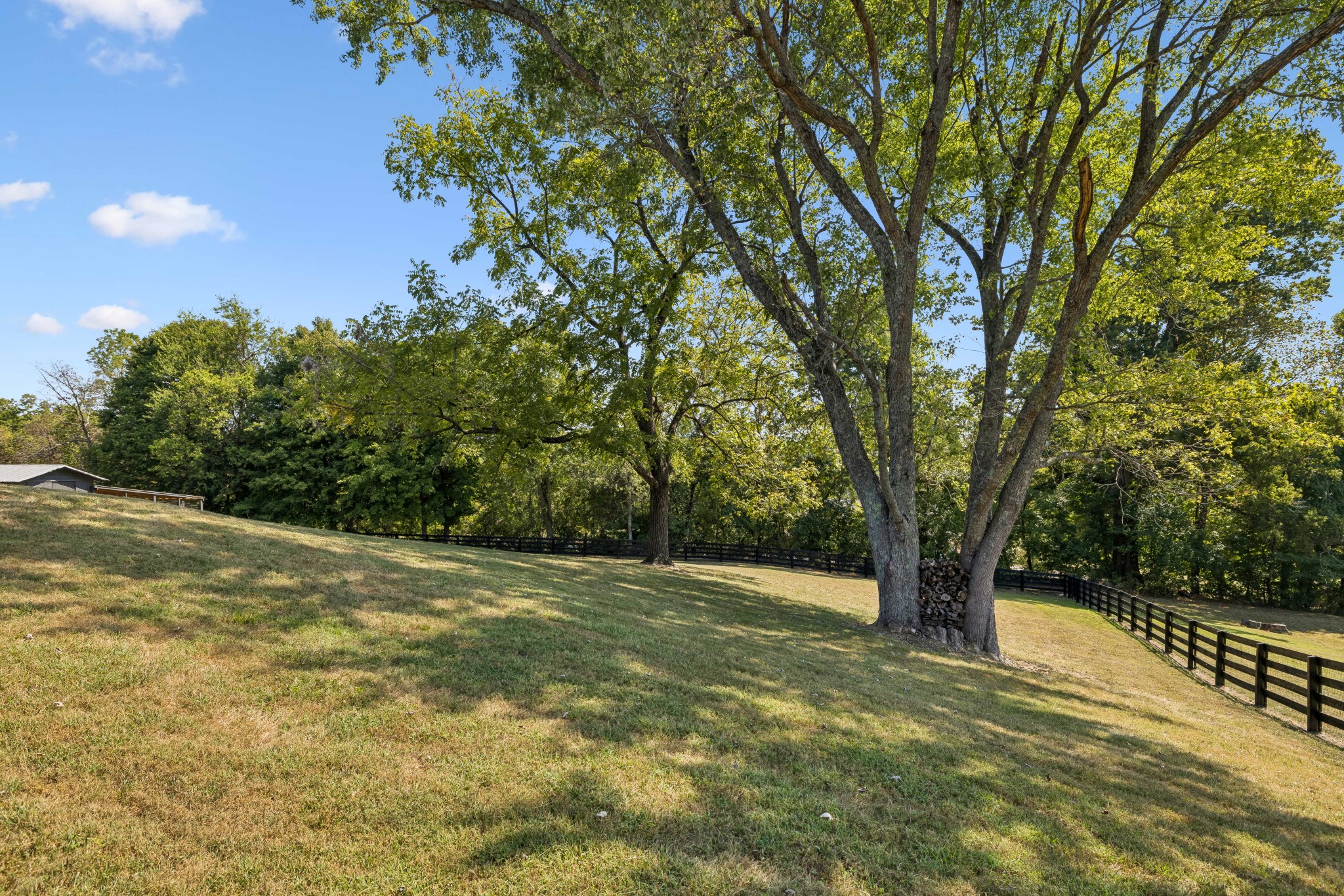 2325 Lewisburg Pike Property Photo 60