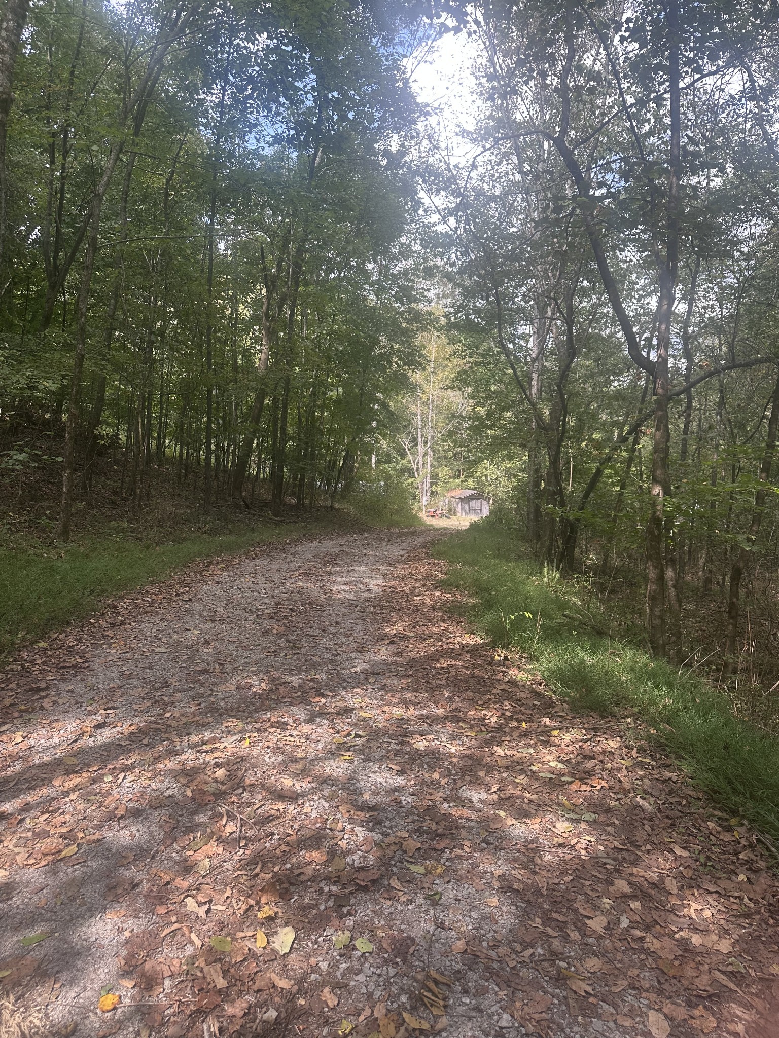 2550 Hurricane Creek Rd Property Photo 1