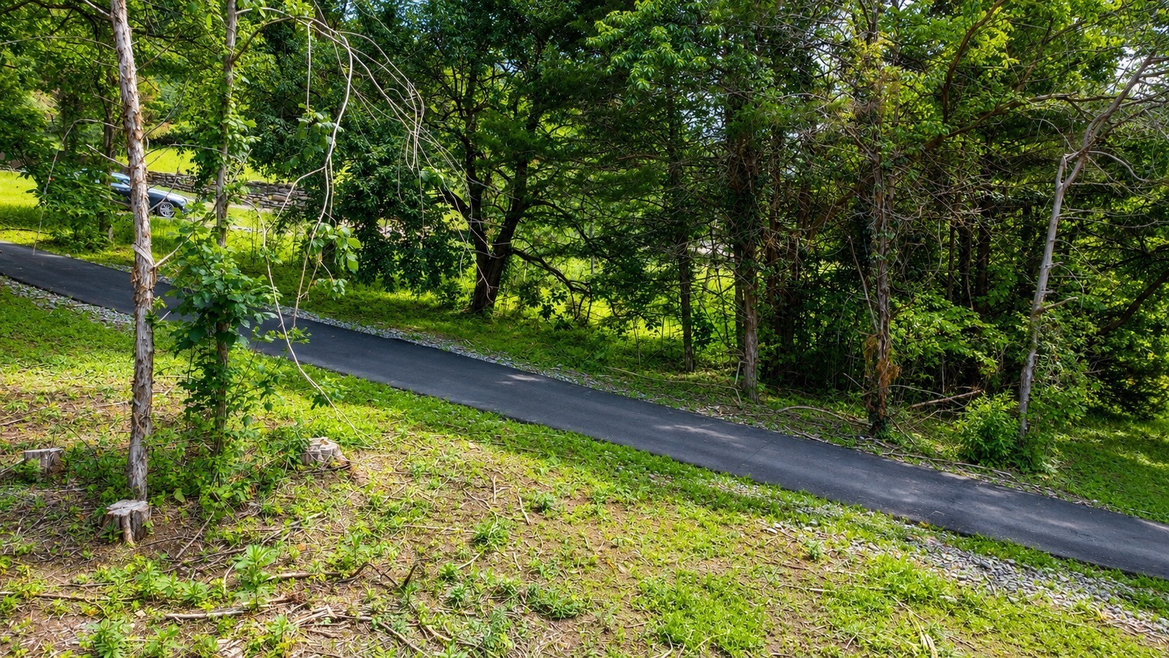 180 Lake Hollow Rd Property Photo 4