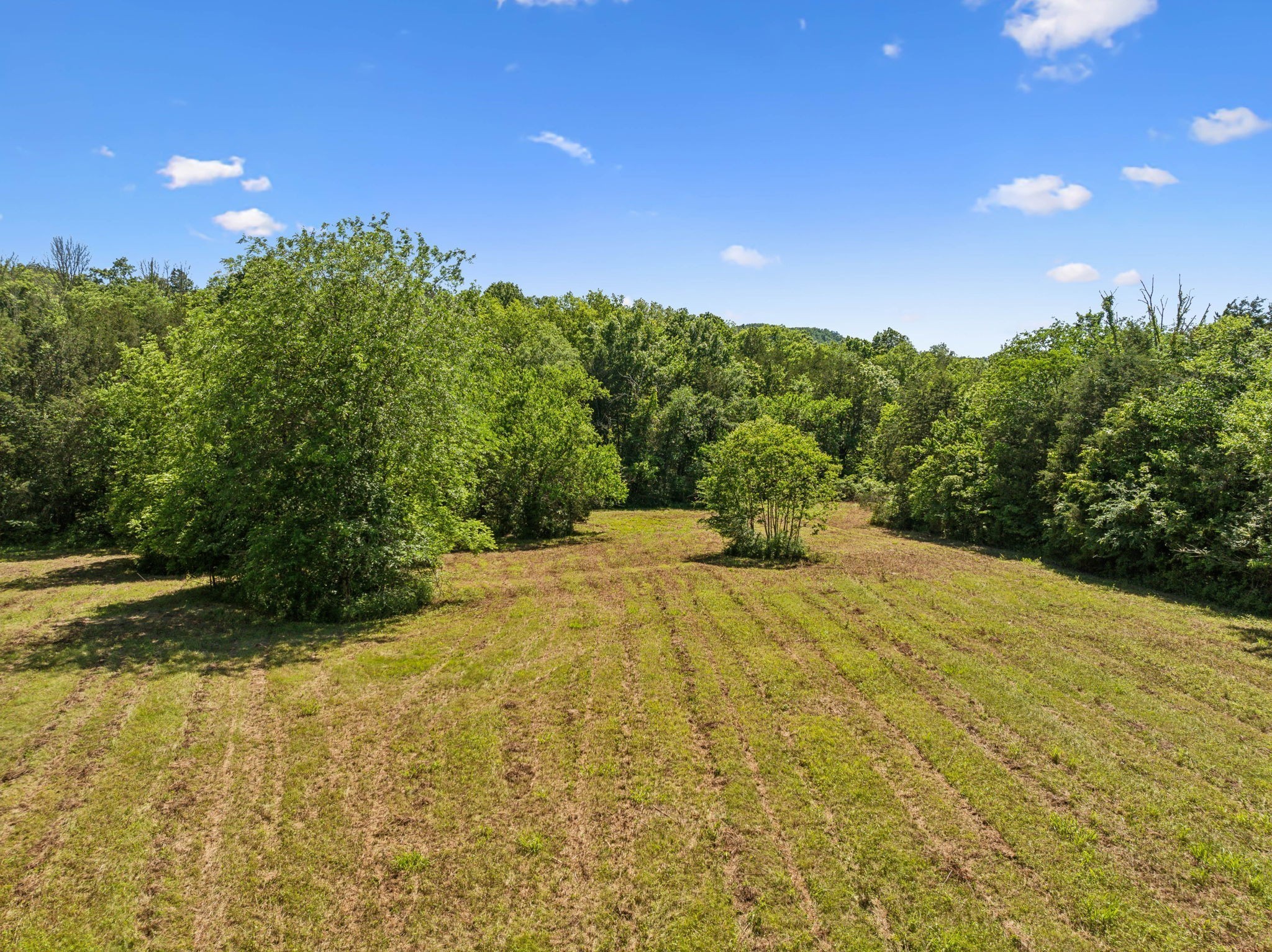 180 Lake Hollow Rd Property Photo 6