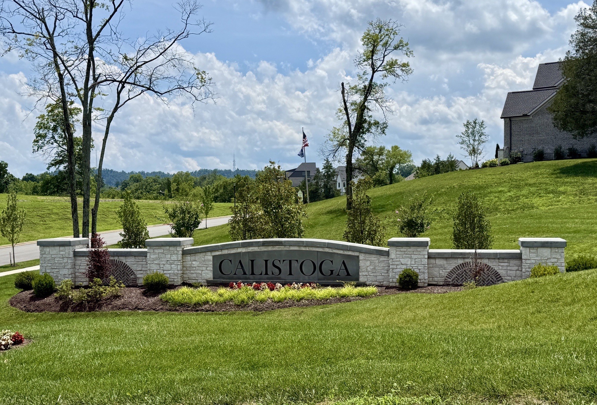 9906 Amarosa Court Property Photo 3