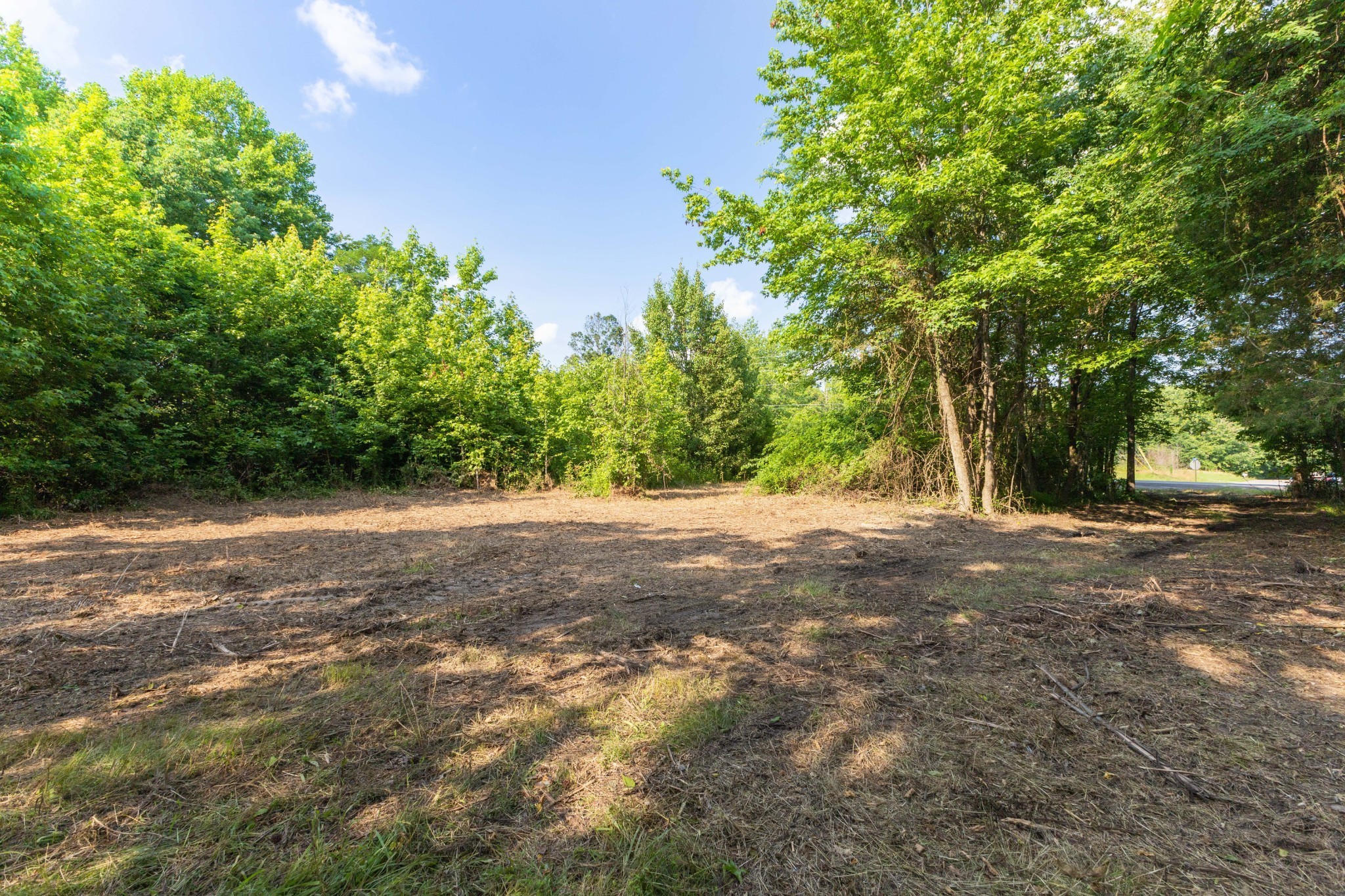 0 Hwy 41a Property Photo 2