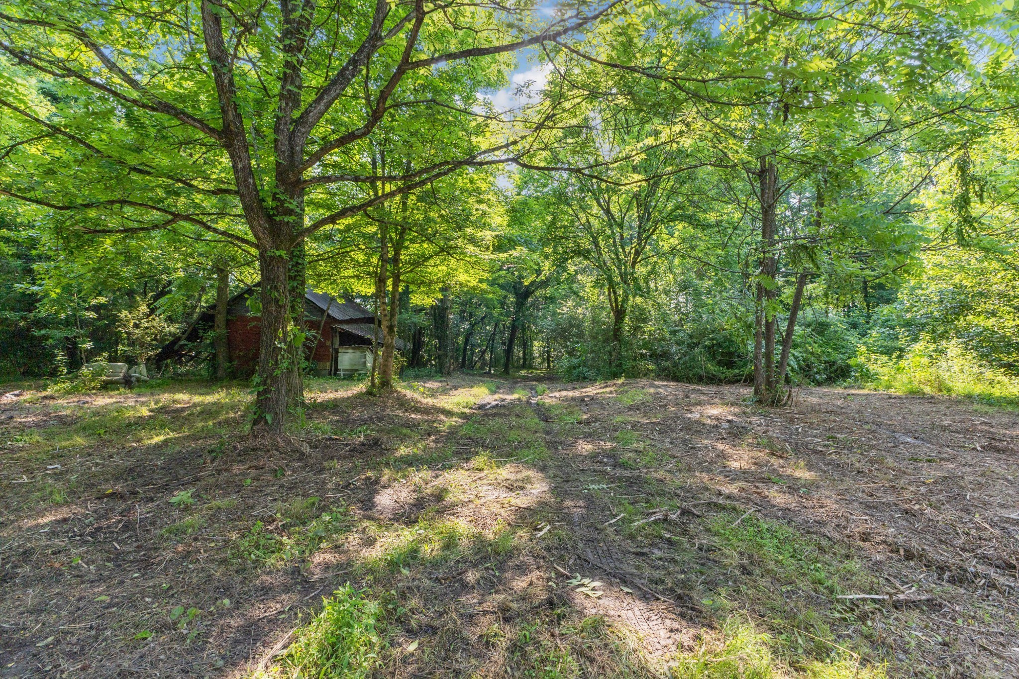 0 Hwy 41a Property Photo 9