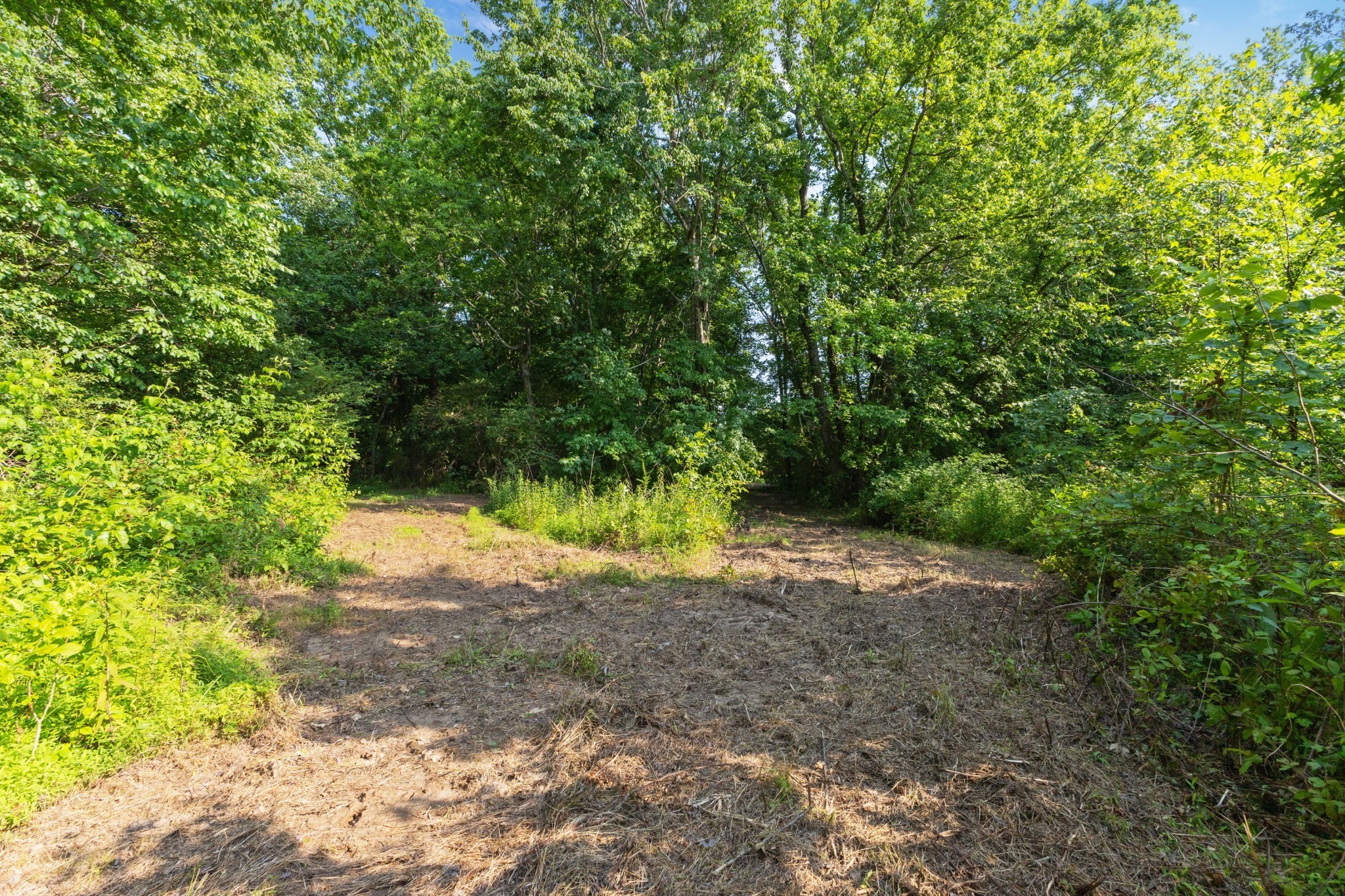 0 Hwy 41a Property Photo 11