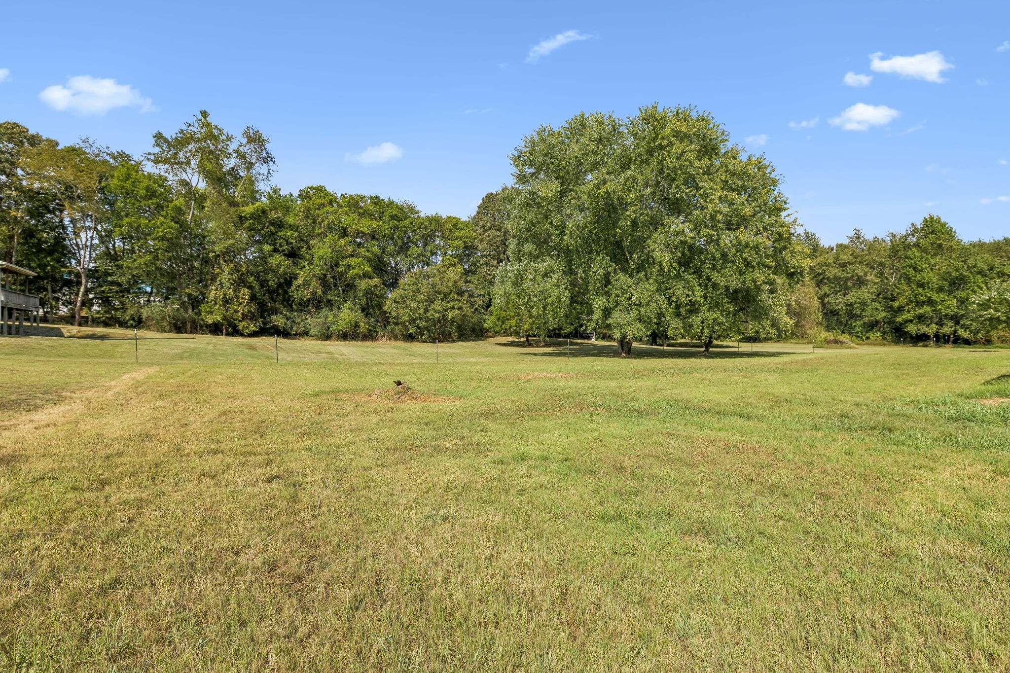 4005 Sweet Home Rd Property Photo 38