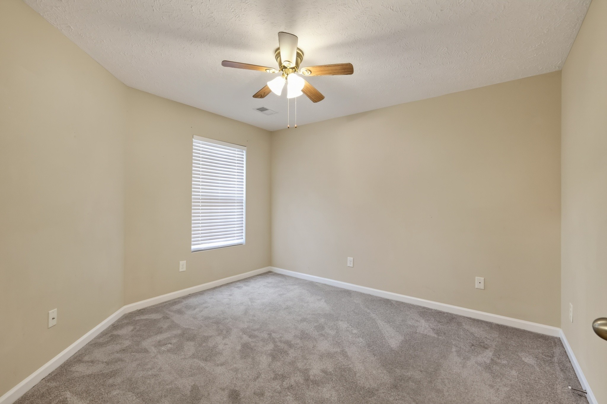 167 Speedwell Ln Property Photo 18