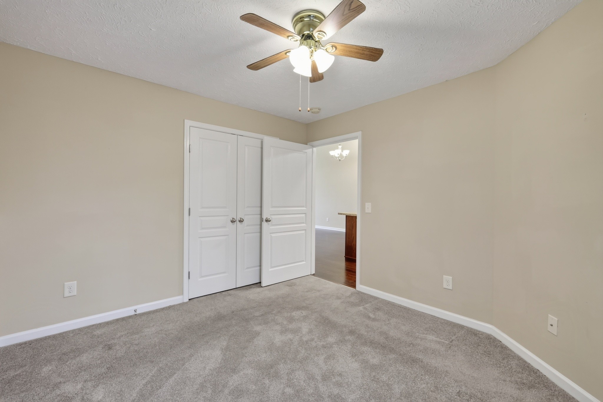 167 Speedwell Ln Property Photo 19