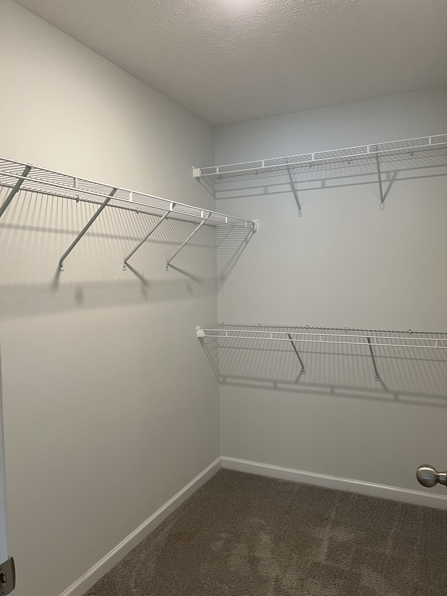 107 Curbow Ct Property Photo 16