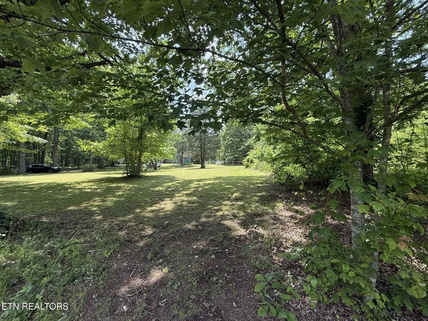 14765 Highway 70 N Property Photo 21