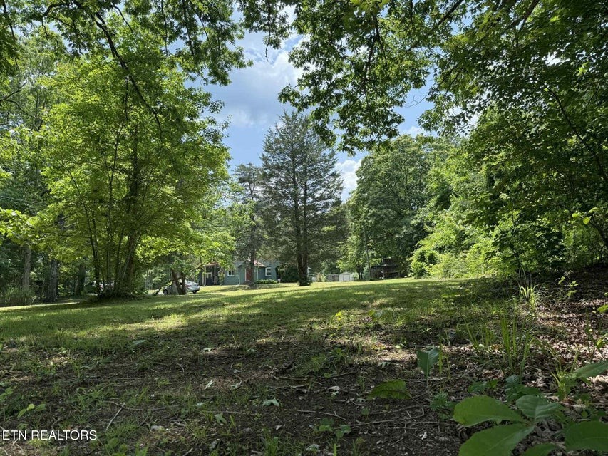 14765 Highway 70 N Property Photo 22