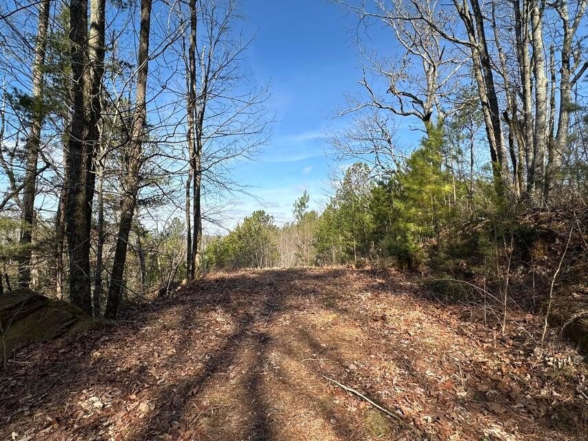 125 Fox Trail Dr Property Photo 1