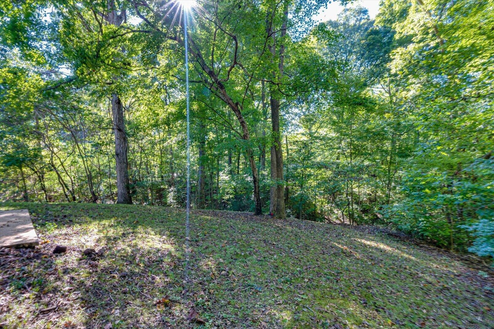 170 Chestuee Drive, Ne Property Photo 28