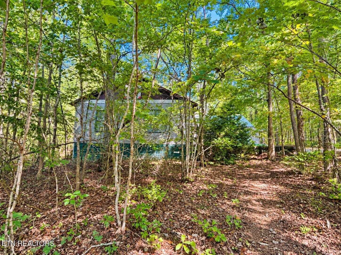 340 Cleggan Drive Property Photo 27