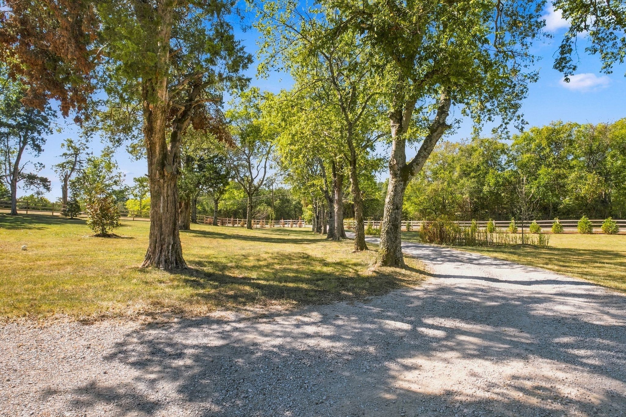 4350 Cato Rd Property Photo 6