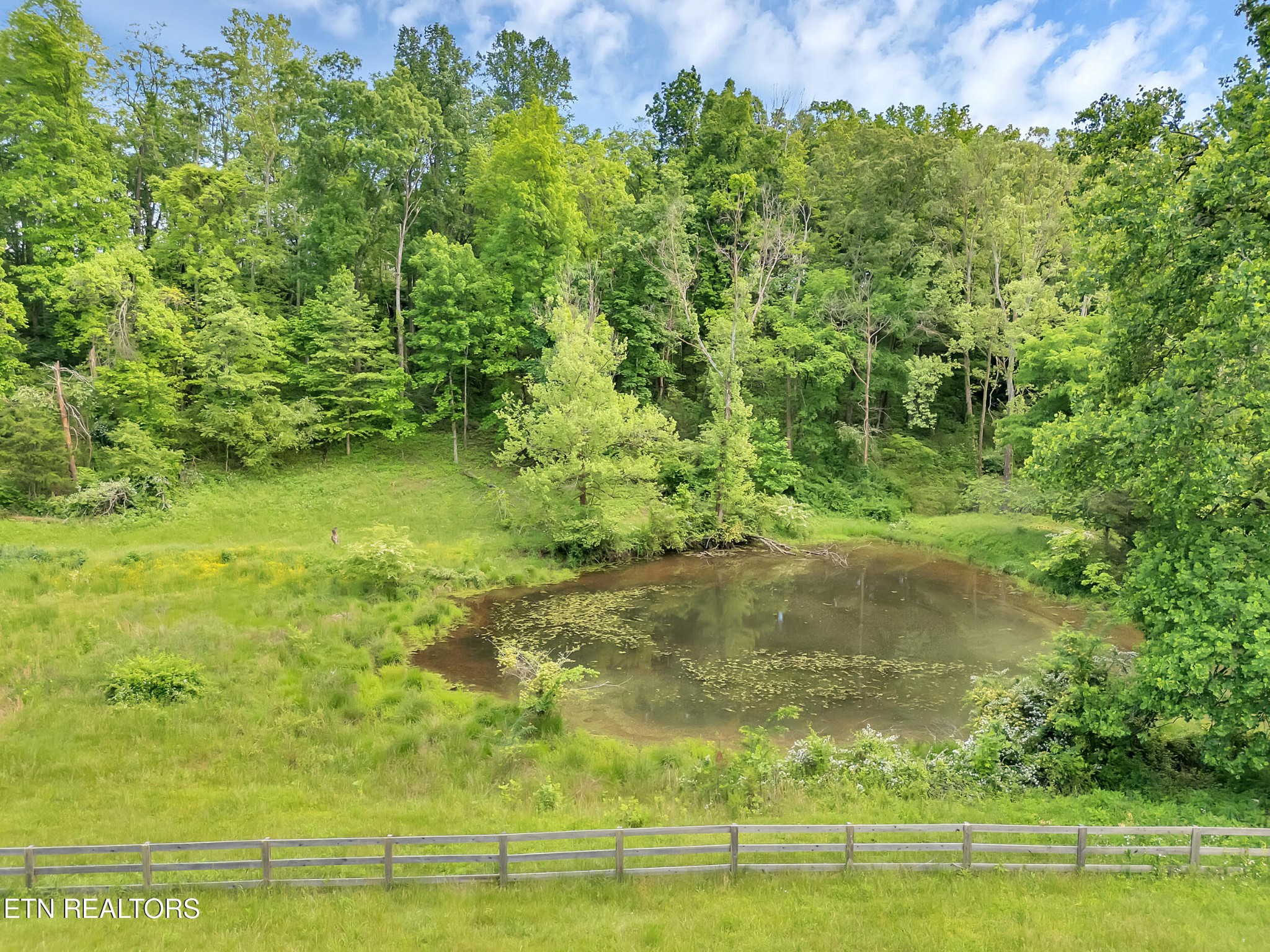 0 Marble Hill Rd Property Photo 11