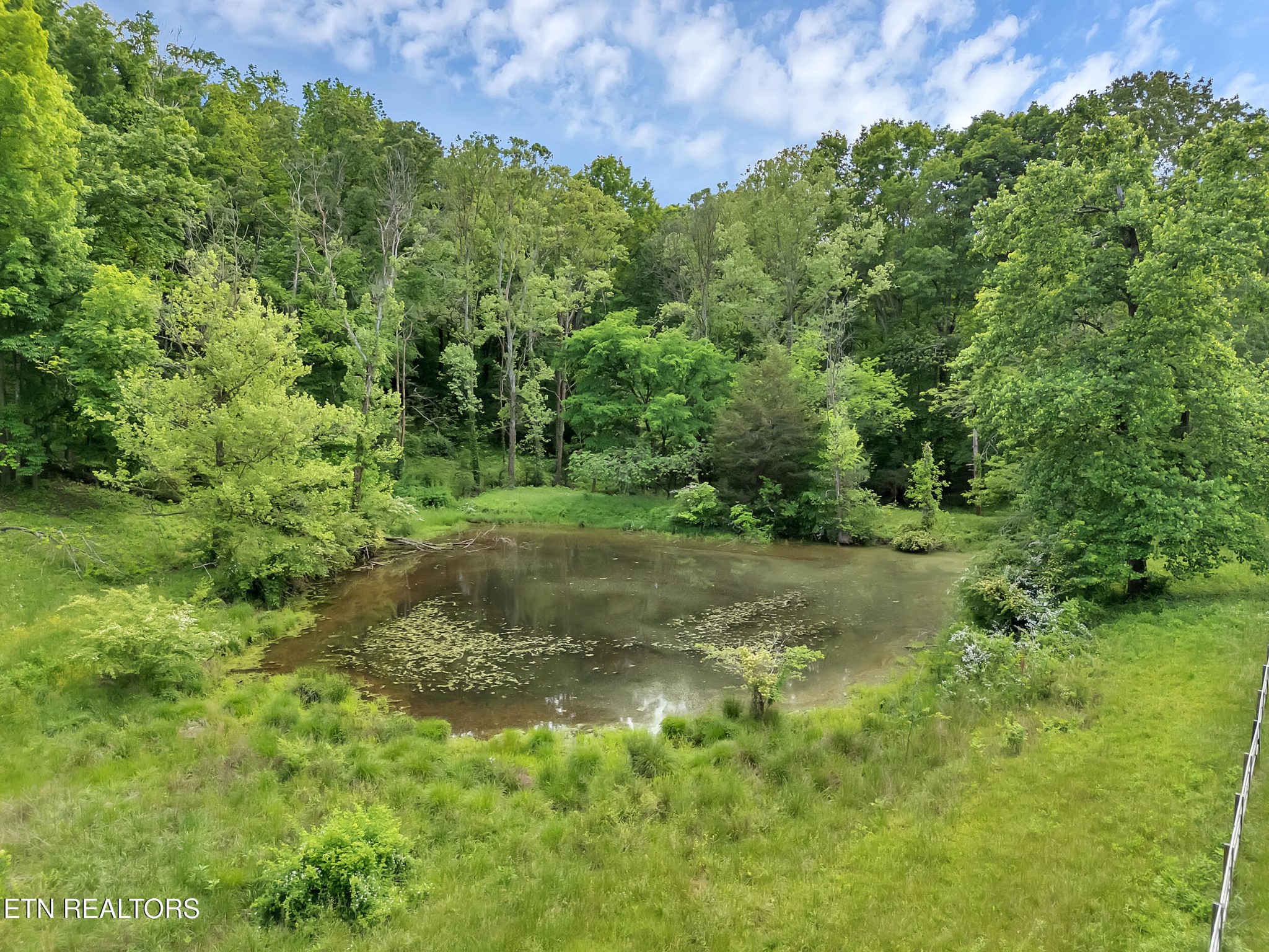 0 Marble Hill Rd Property Photo 12
