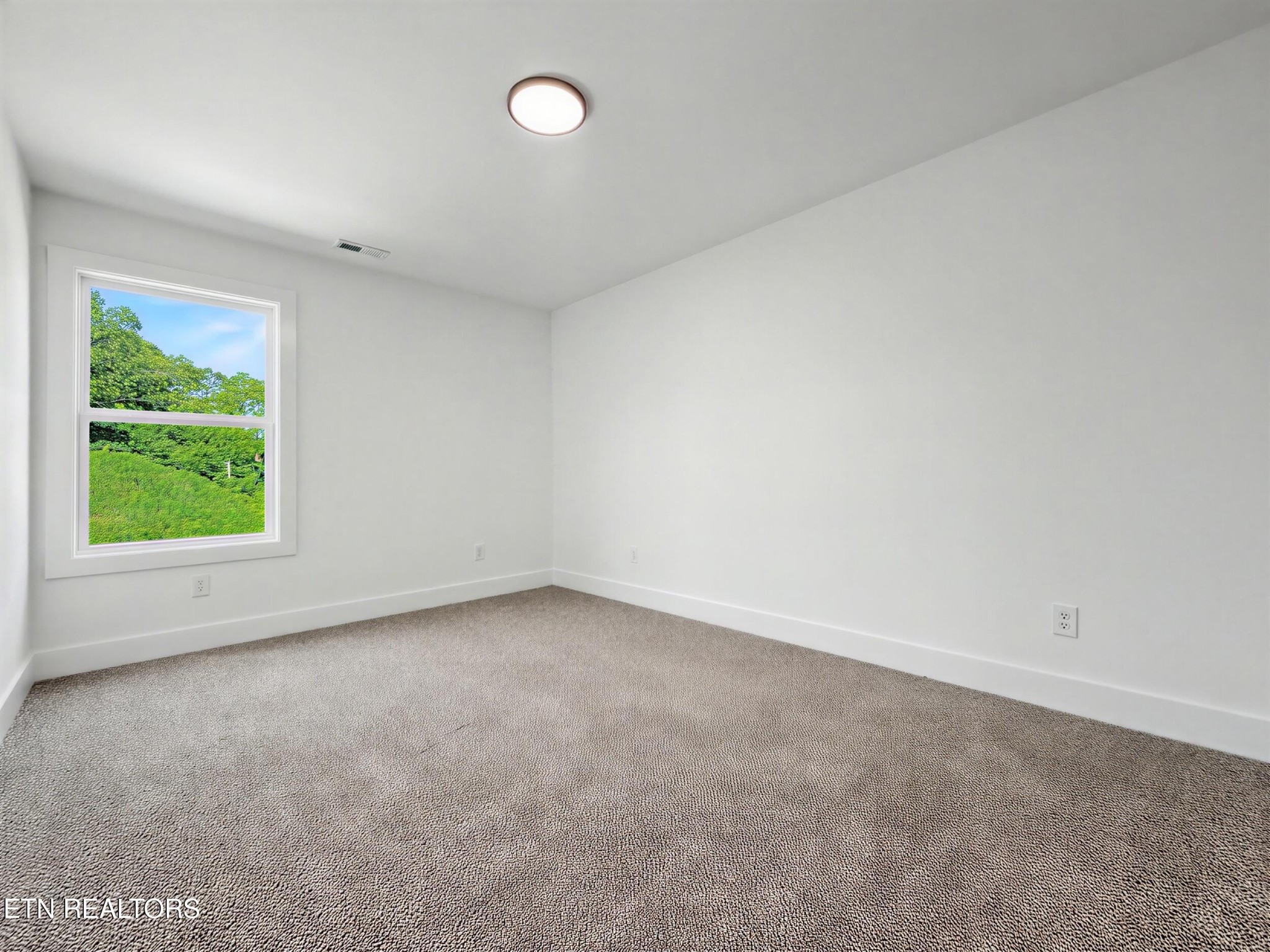 5323 Arza Lane Property Photo 19