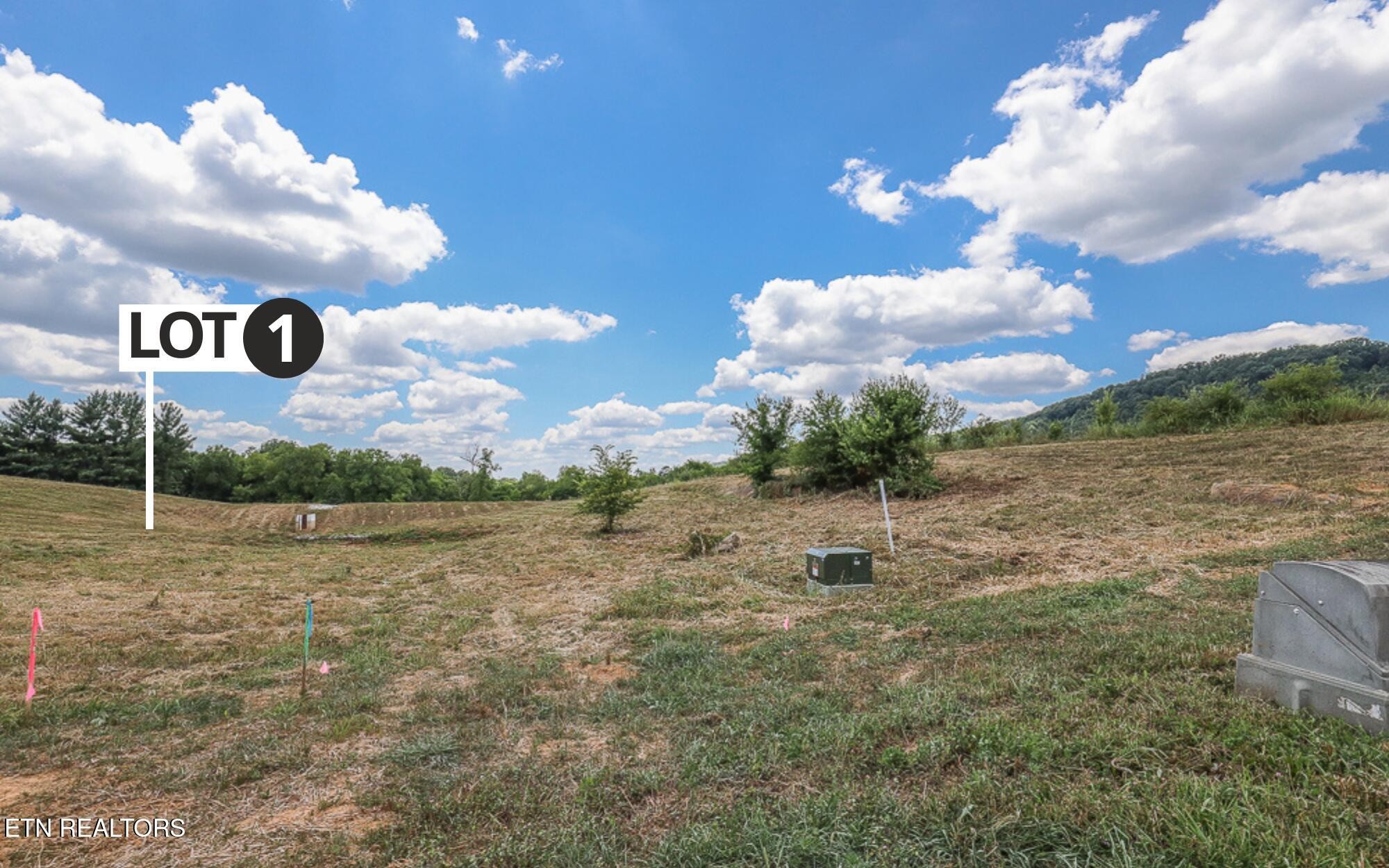 803 Franklin Crossing Property Photo 7