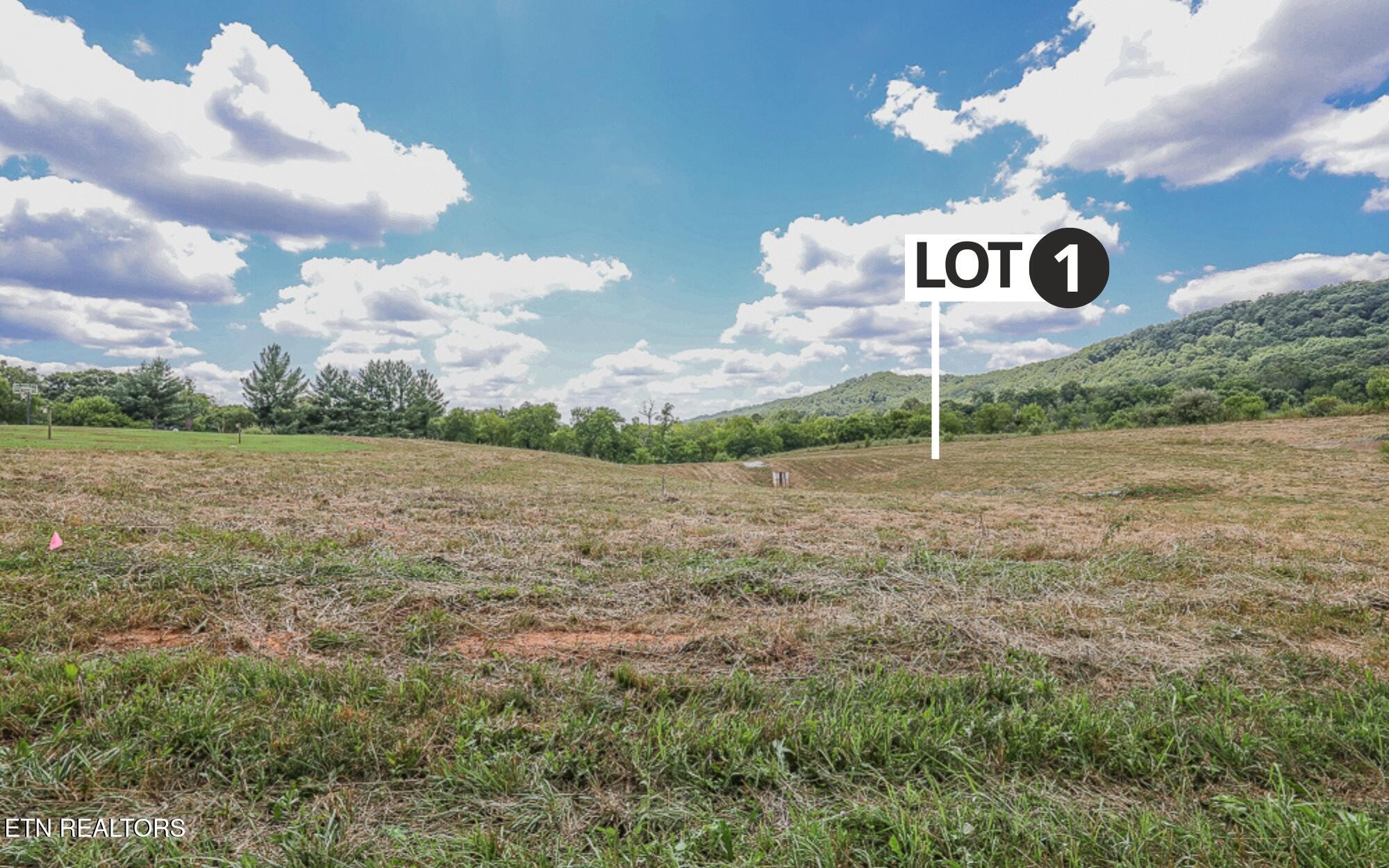 803 Franklin Crossing Property Photo 10